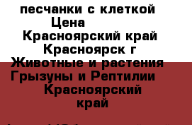 песчанки с клеткой › Цена ­ 1 000 - Красноярский край, Красноярск г. Животные и растения » Грызуны и Рептилии   . Красноярский край